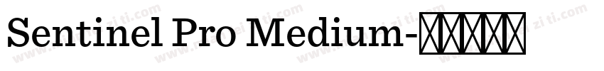 Sentinel Pro Medium字体转换